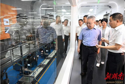 沈晓明调研绿色农产品及食品加工与计算机软件开发新发展