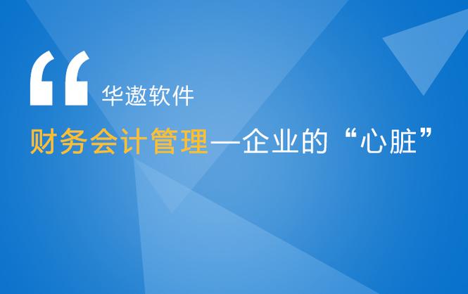 广州上华计算机软件开发